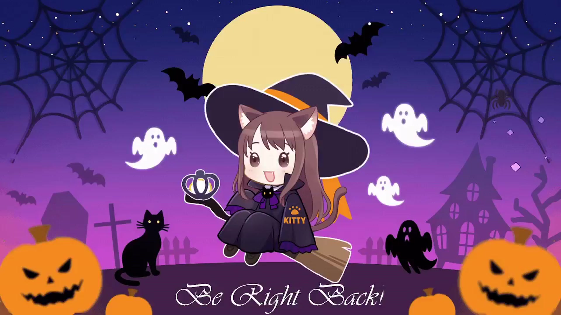 Kitty video thumbnail
