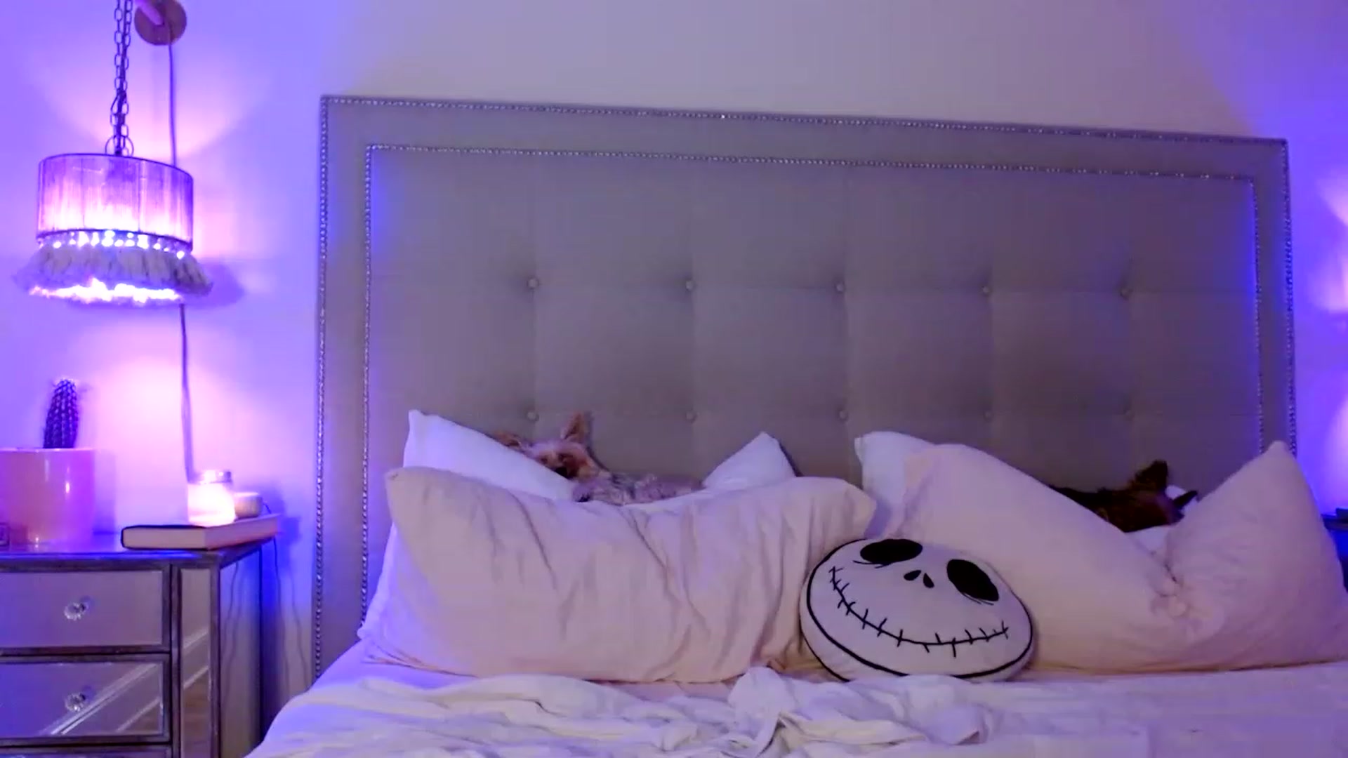 DaniSendNudes video thumbnail