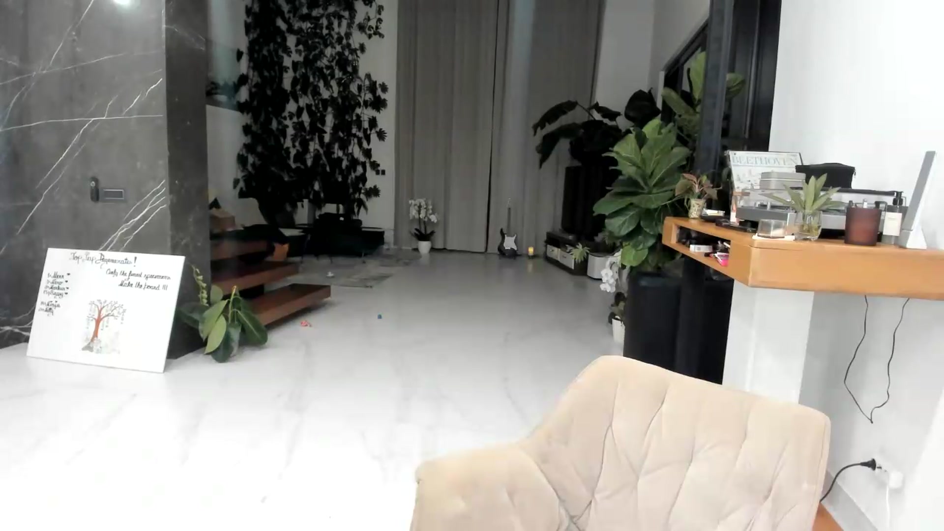 BibiSapDealer video thumbnail