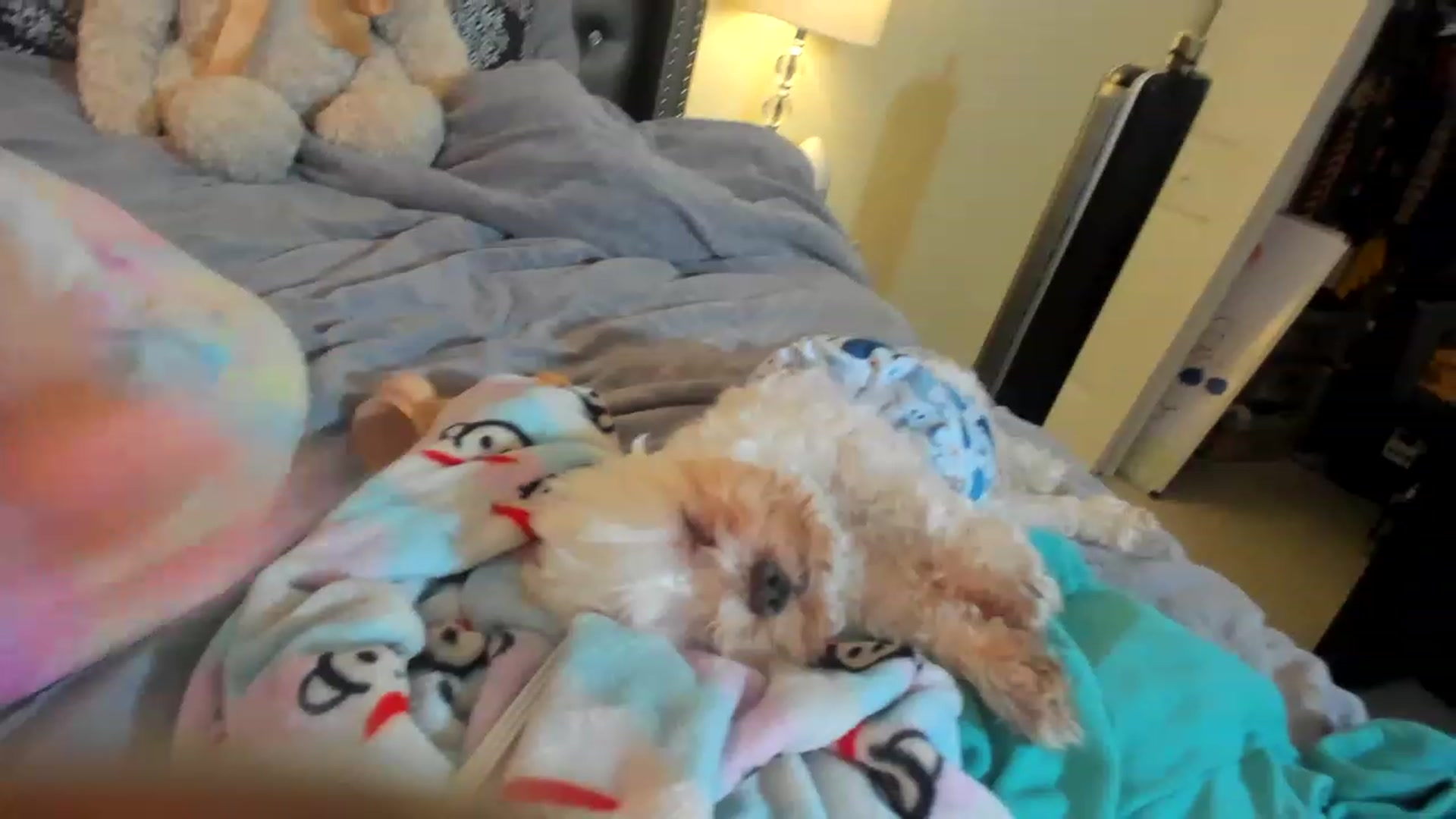 lyllla video thumbnail