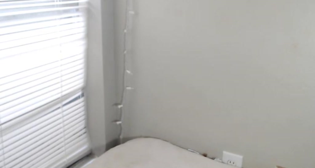 Daphnedanger video thumbnail