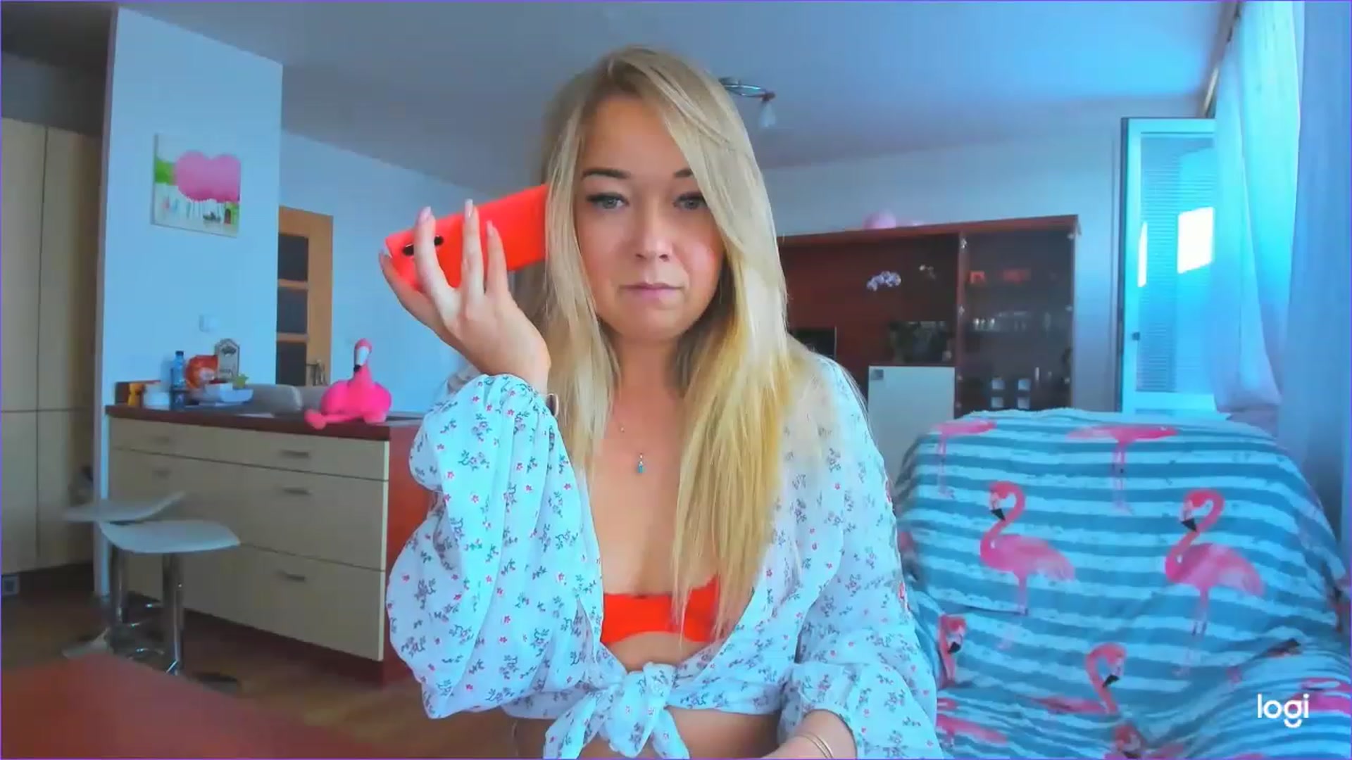 FlamingoDream video thumbnail
