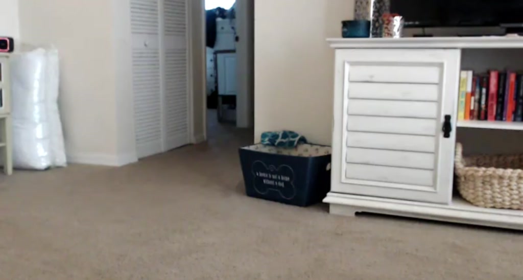 HallieHarper video thumbnail