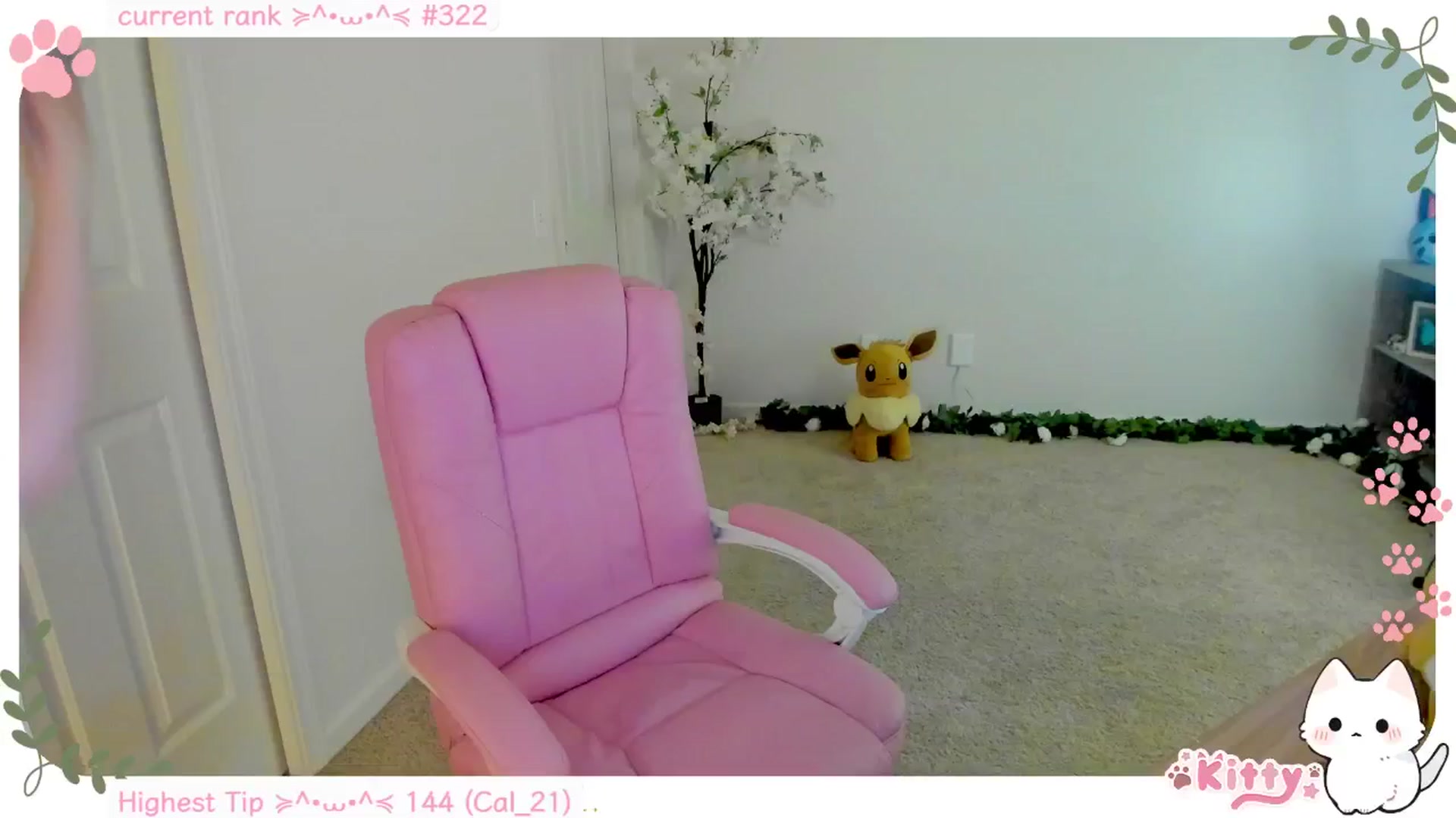 Kitty video thumbnail