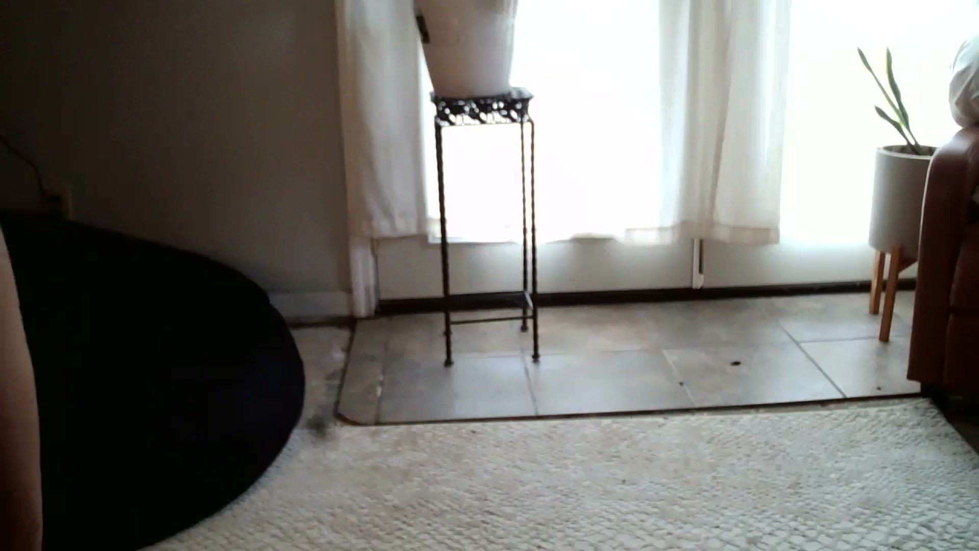 Dollbabie2211 video thumbnail