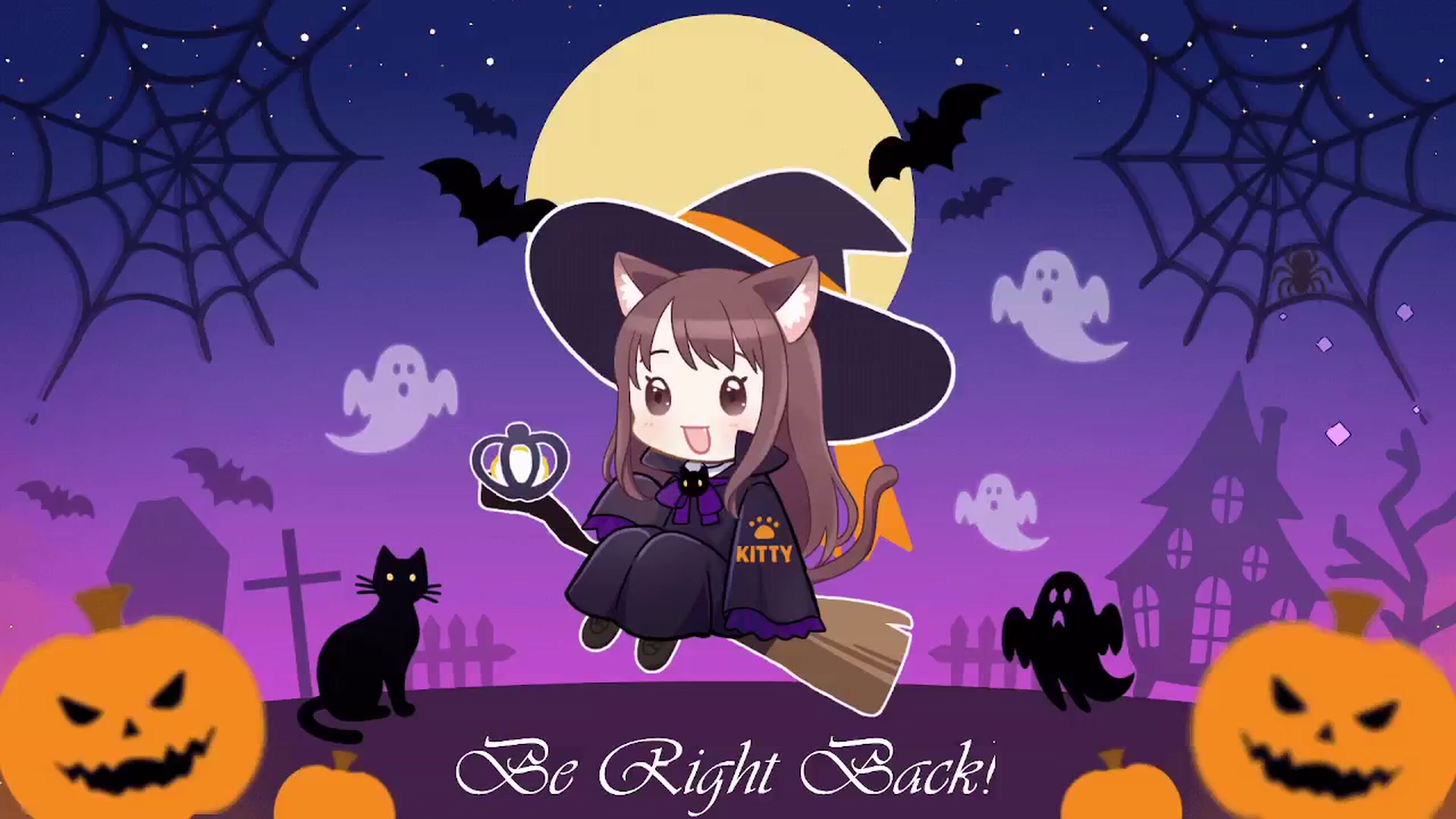 Kitty video thumbnail