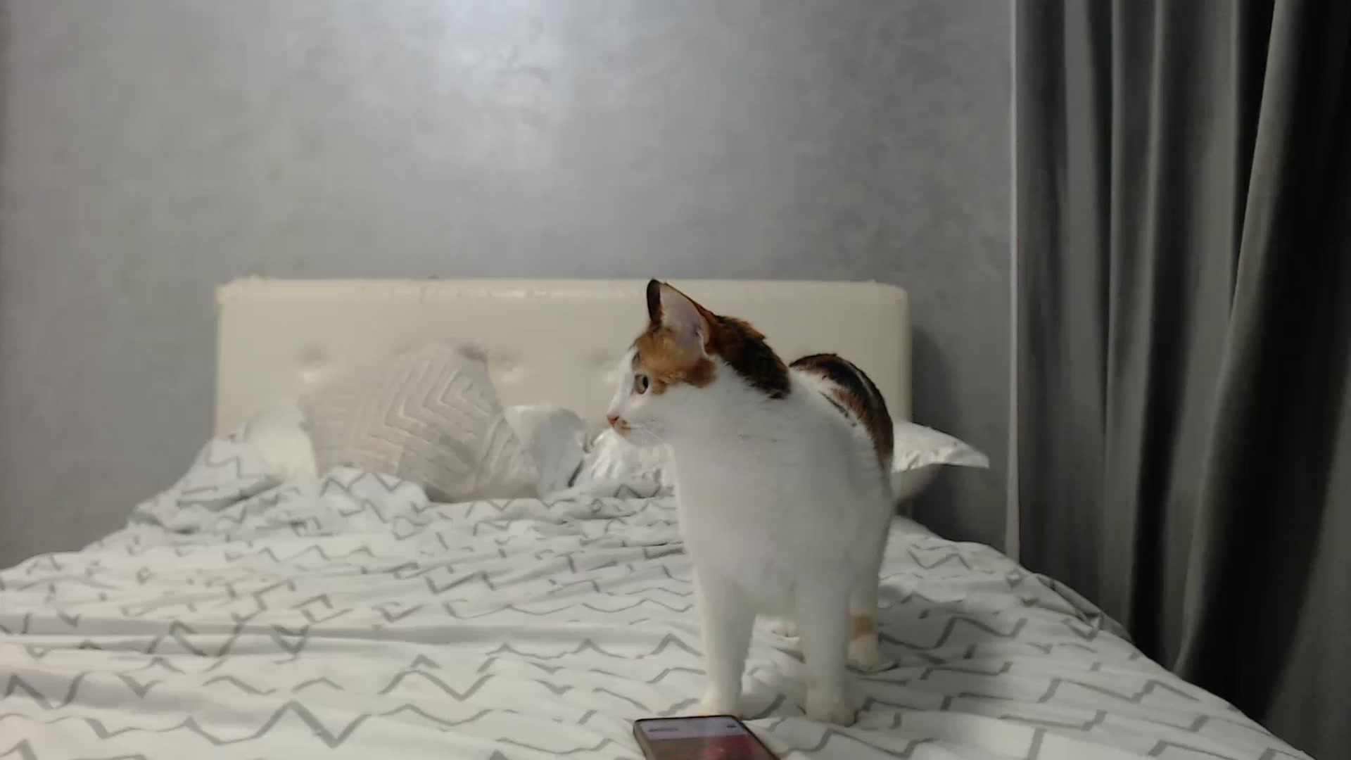 Aahh_Emilia video thumbnail