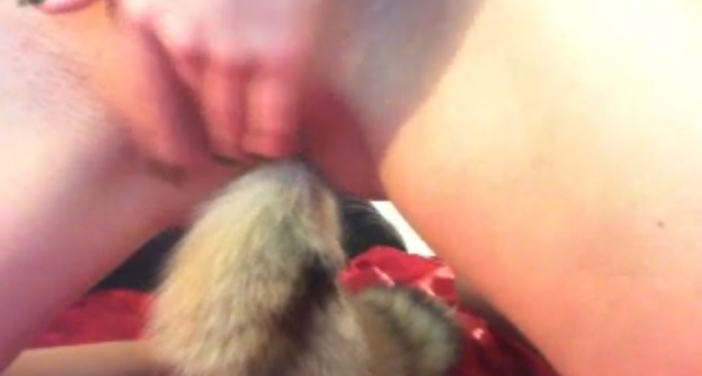 Porchia video thumbnail