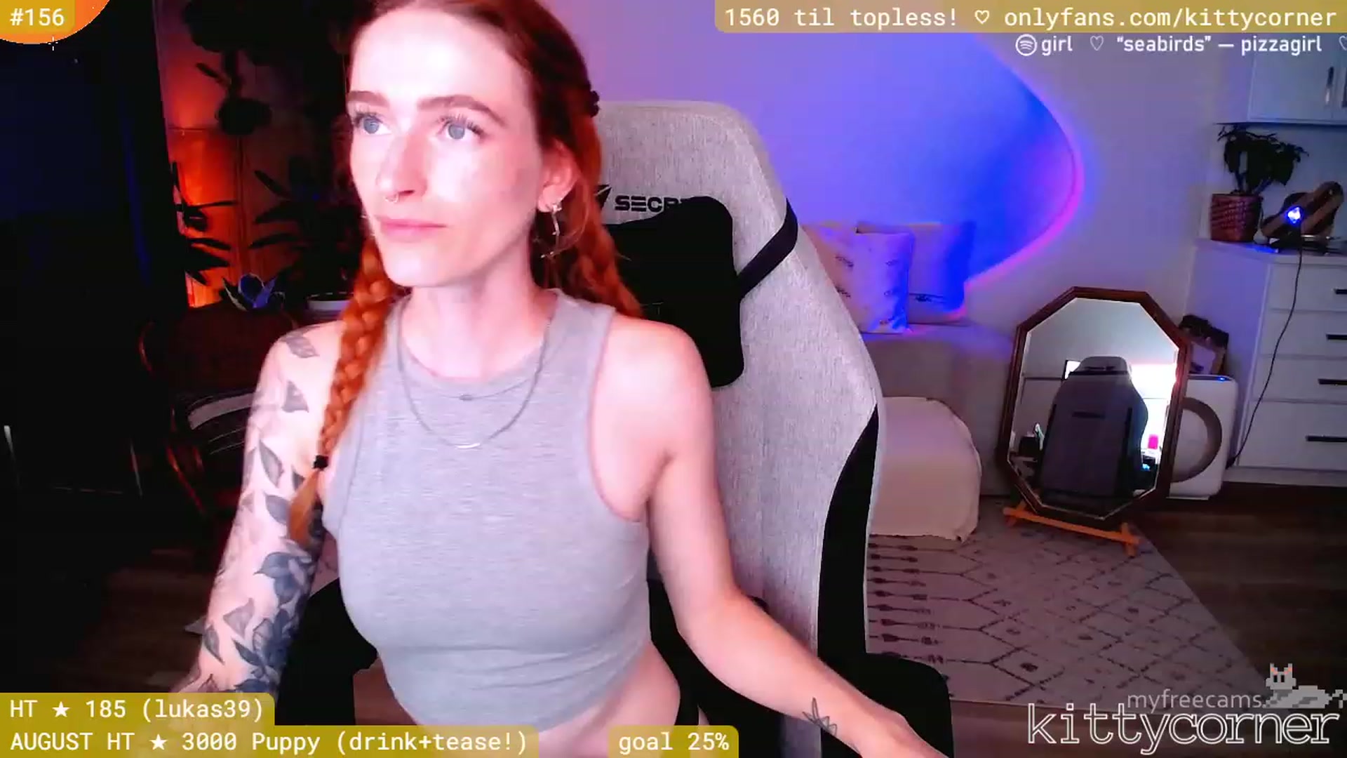 KittyCorner video thumbnail