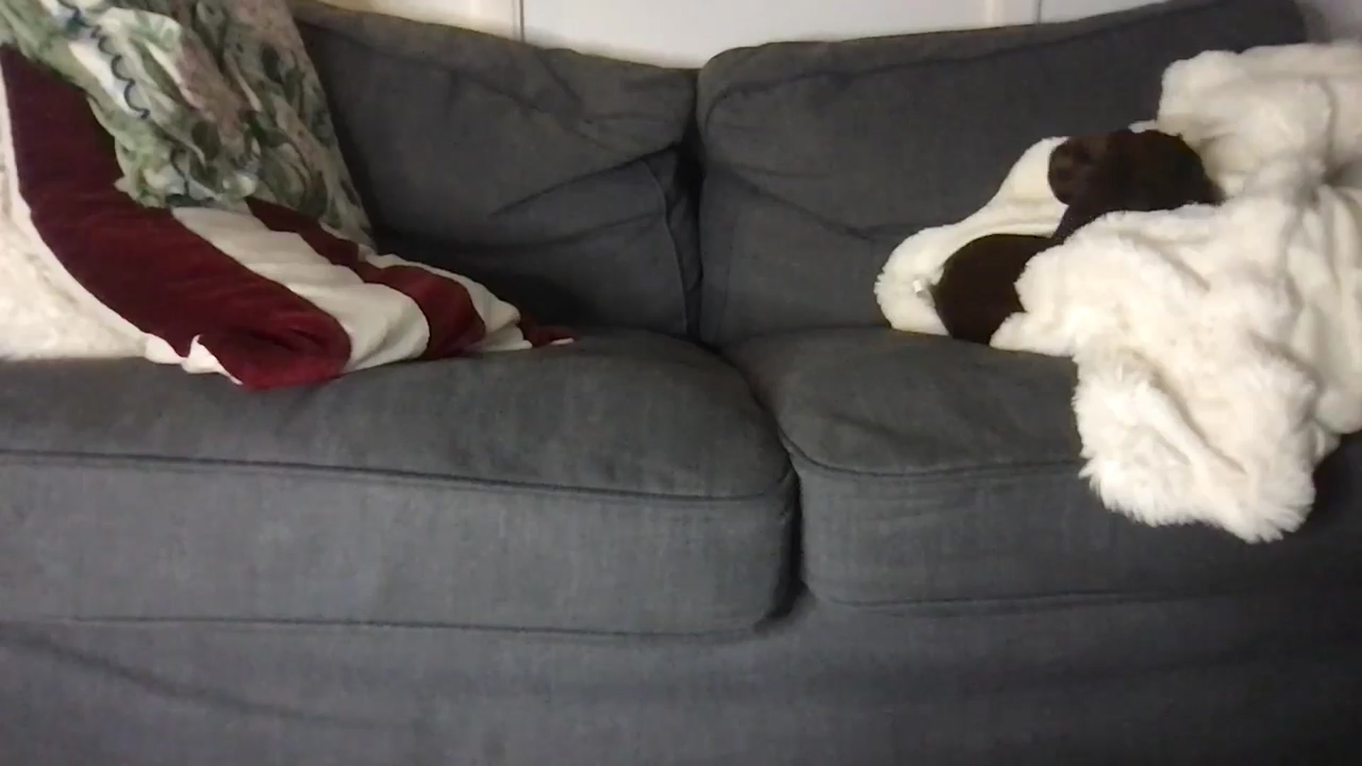 Laceyjames24 video thumbnail