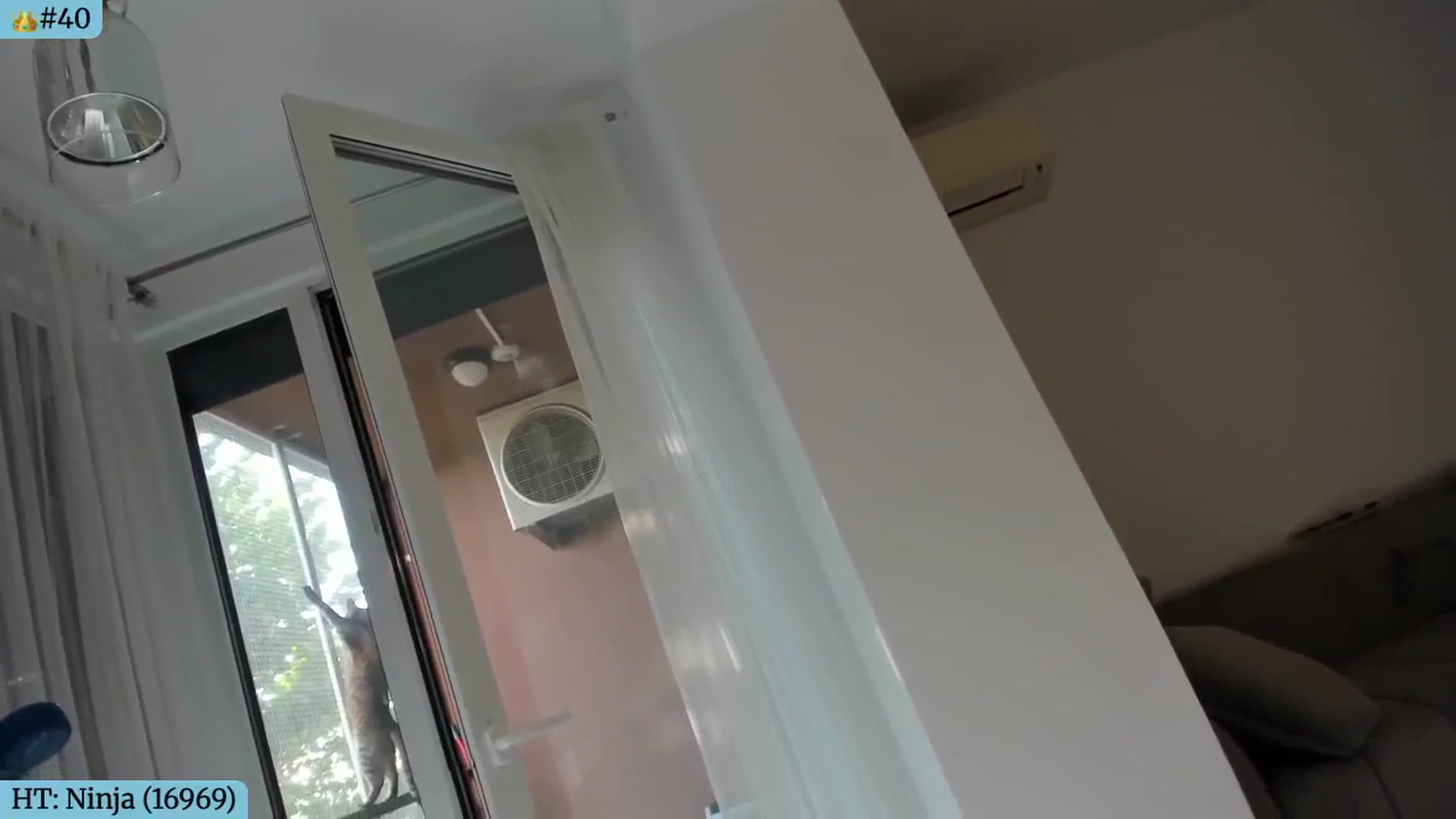 Angie video thumbnail