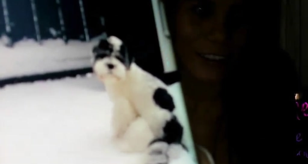 Mandi_Minx video thumbnail