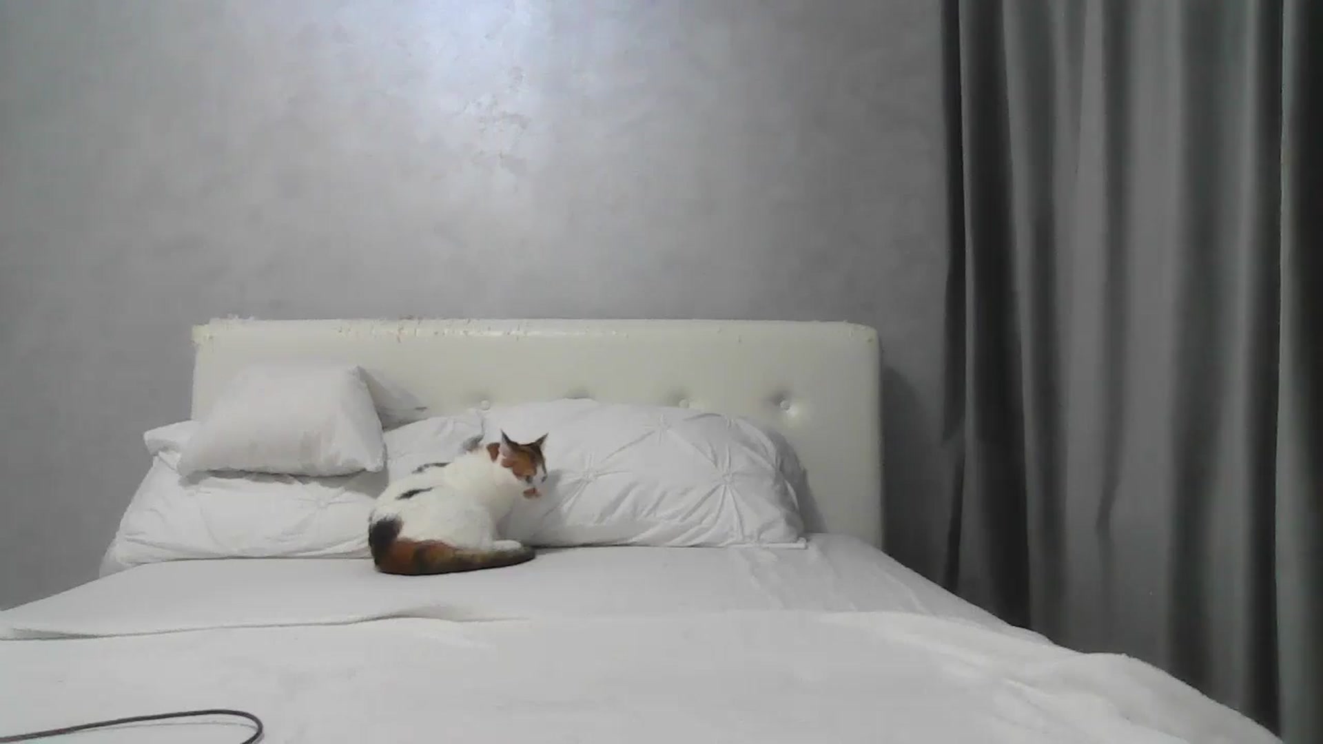 Aahh_Emilia video thumbnail