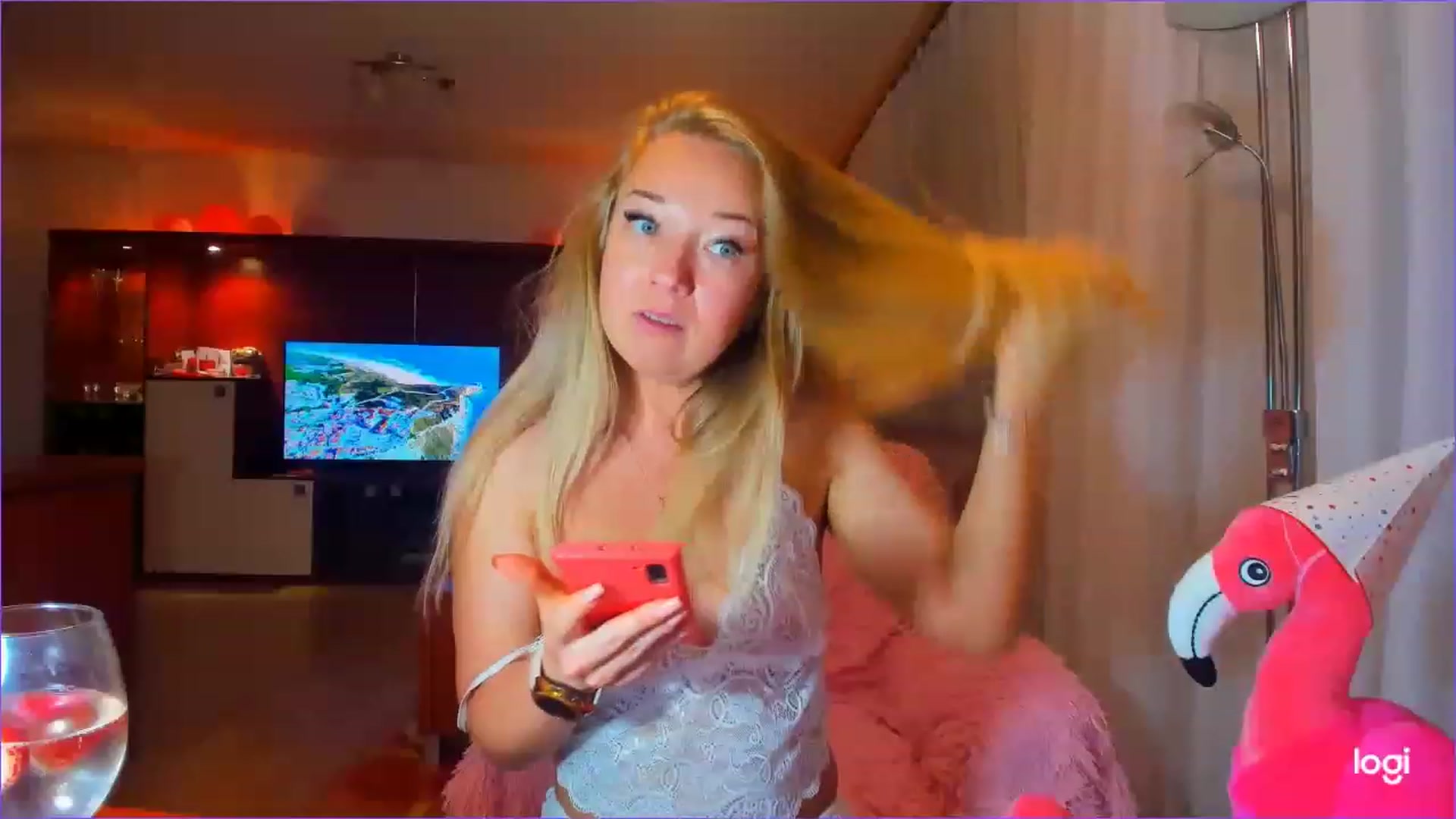 FlamingoDream video thumbnail