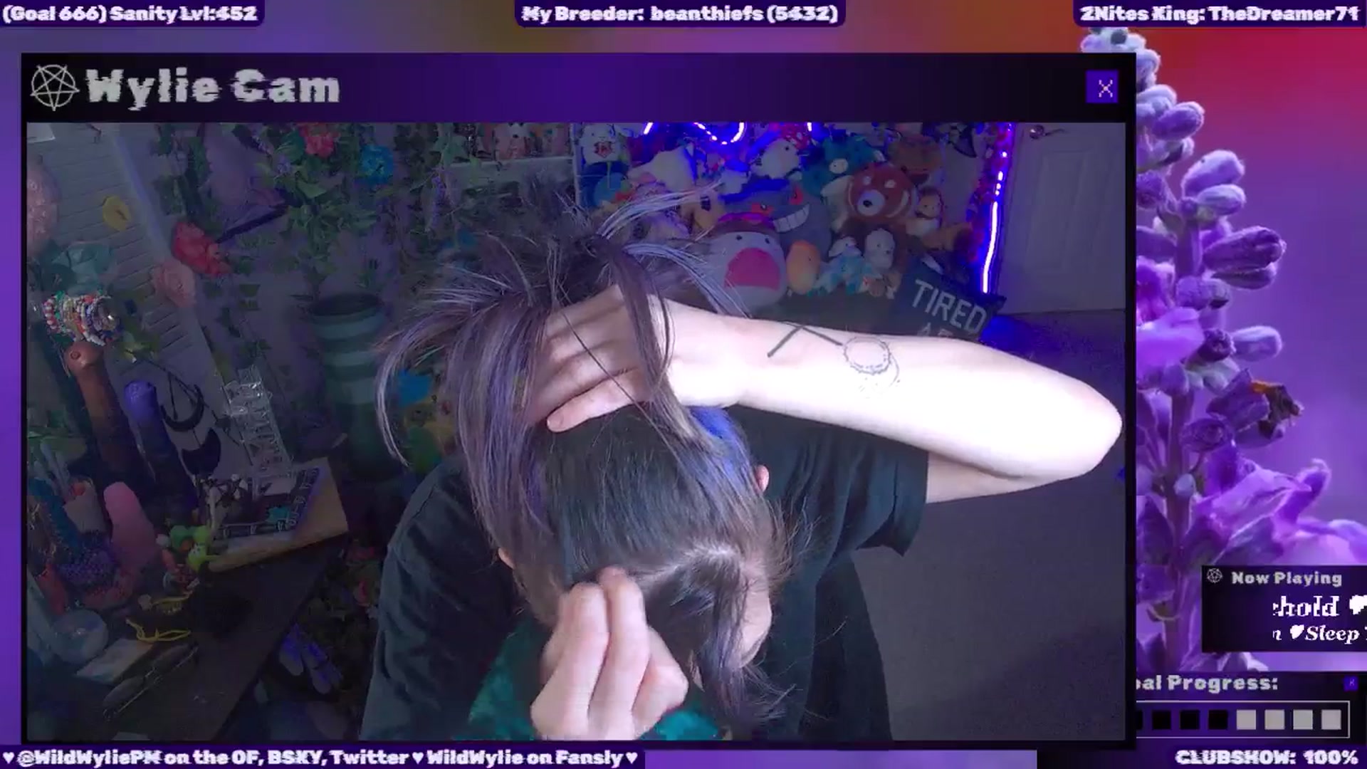 WildWyliePM video thumbnail