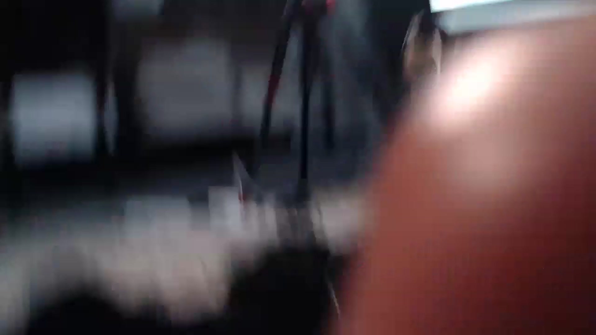 WildPersian video thumbnail