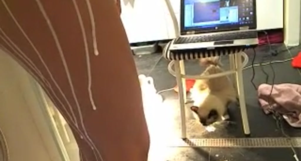 BiancaBabe_18 video thumbnail