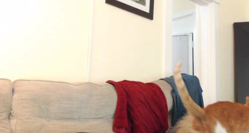 GiaPeach video thumbnail