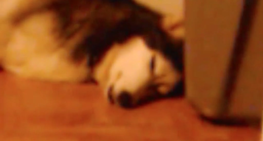 adrey_ video thumbnail