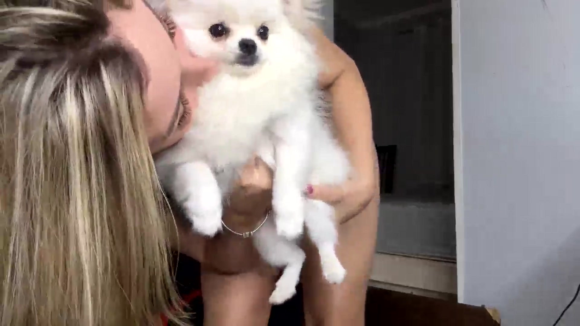 cateyes1 video thumbnail