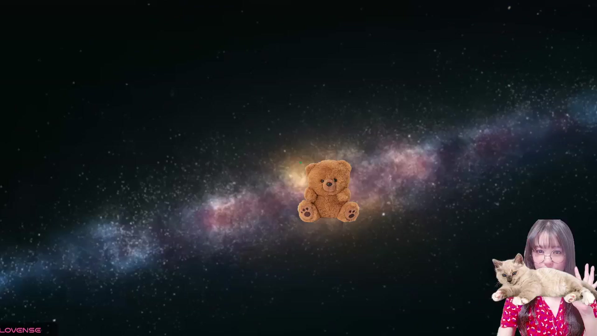 meows video thumbnail