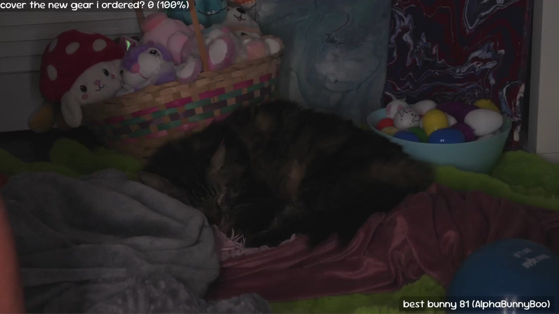 NaomiDee video thumbnail