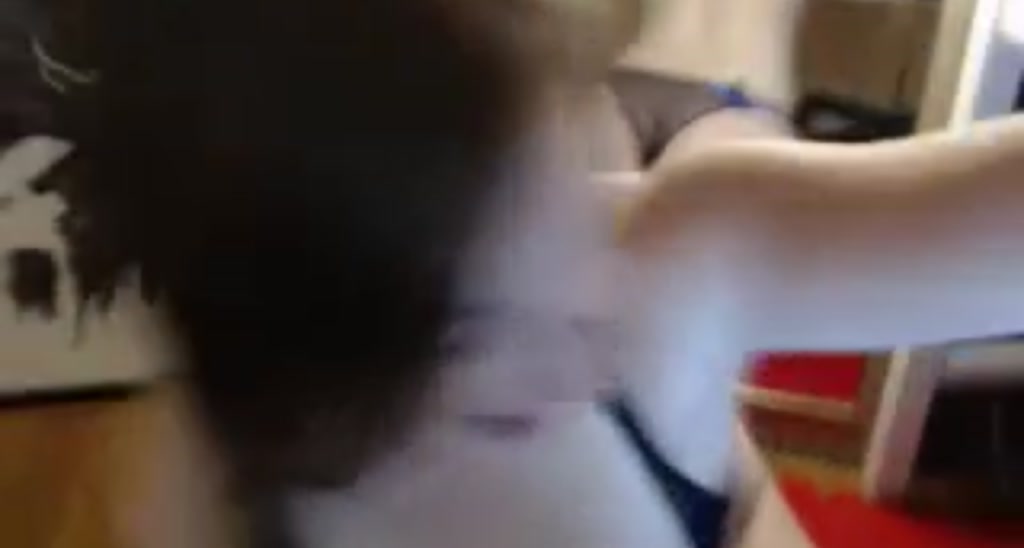GemmaLynx video thumbnail