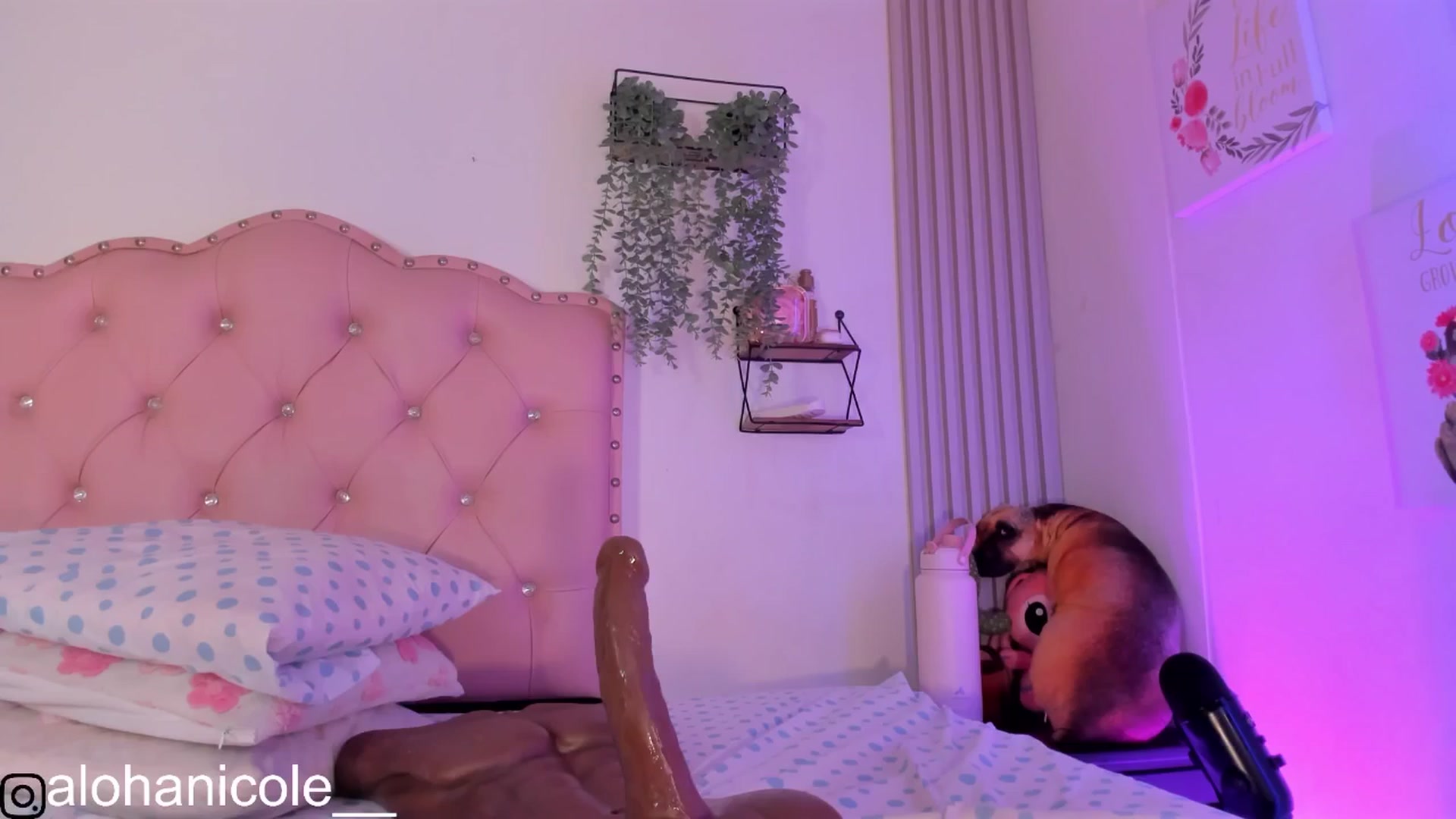 Sweet_Karen_ video thumbnail