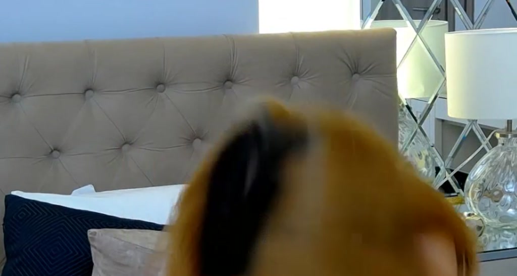 SamySamSamX video thumbnail