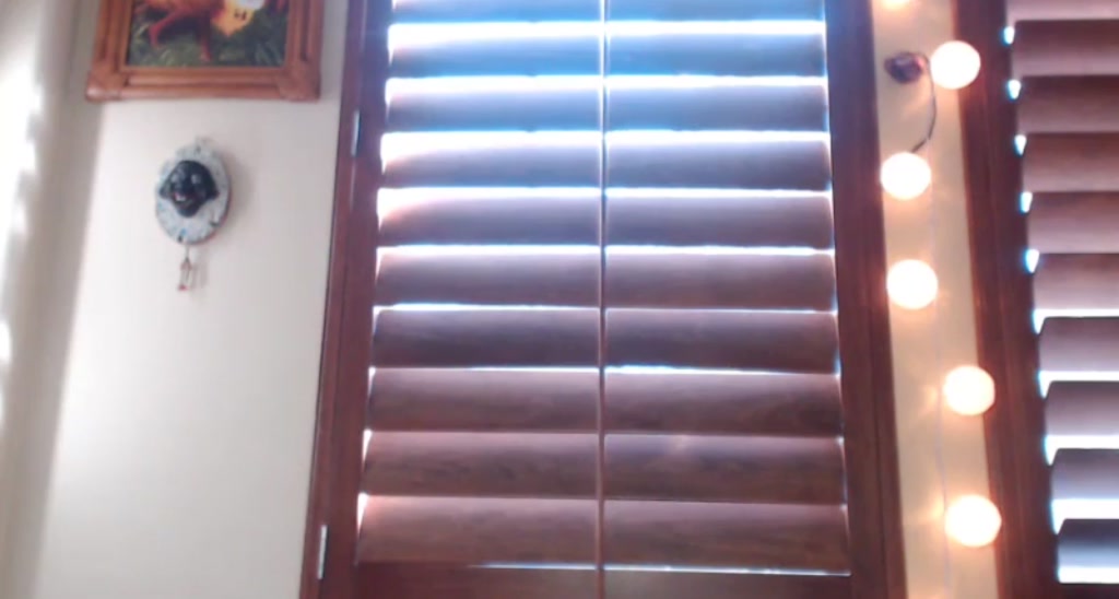 Gabbi_ video thumbnail