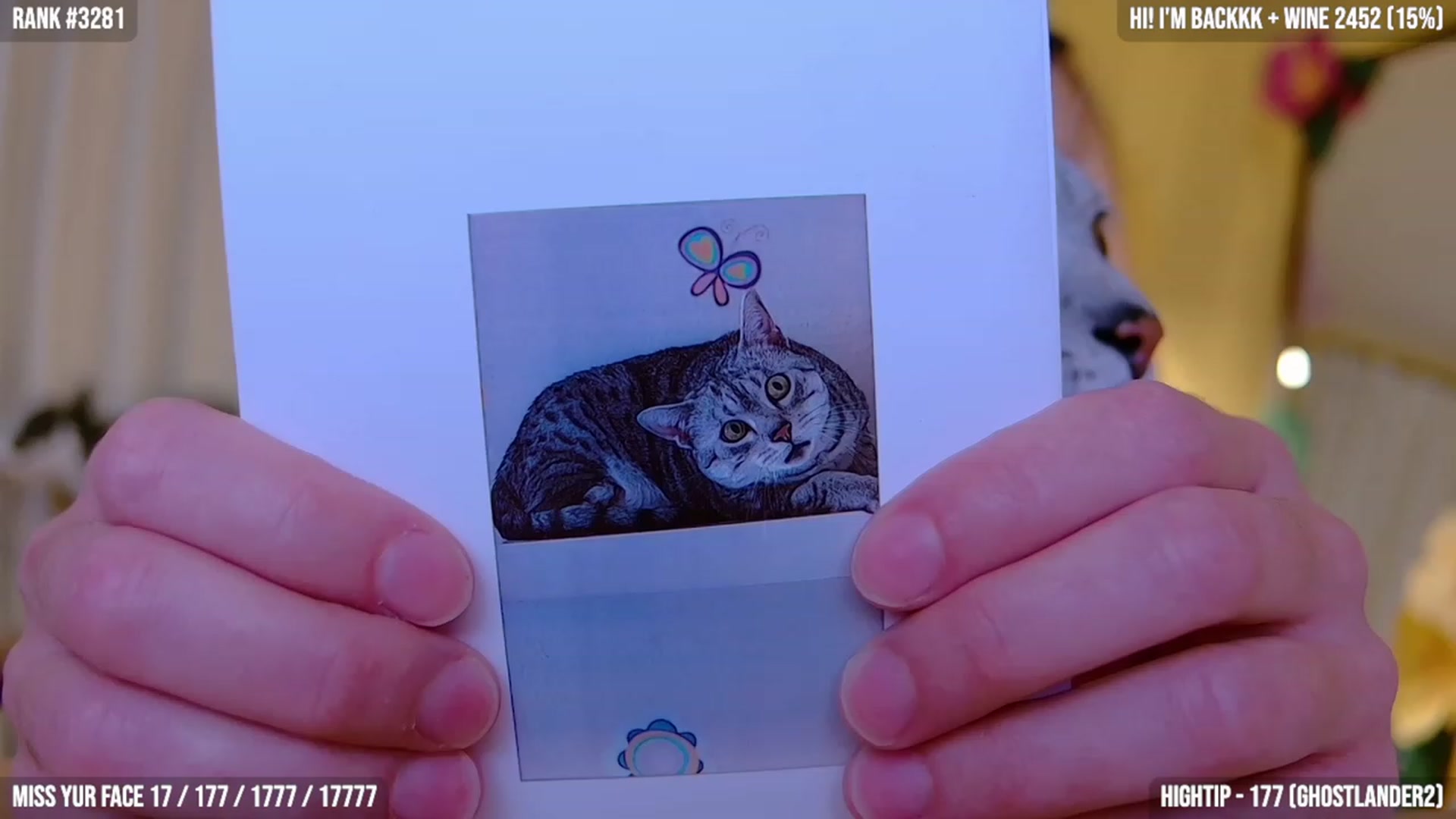Yarrow video thumbnail