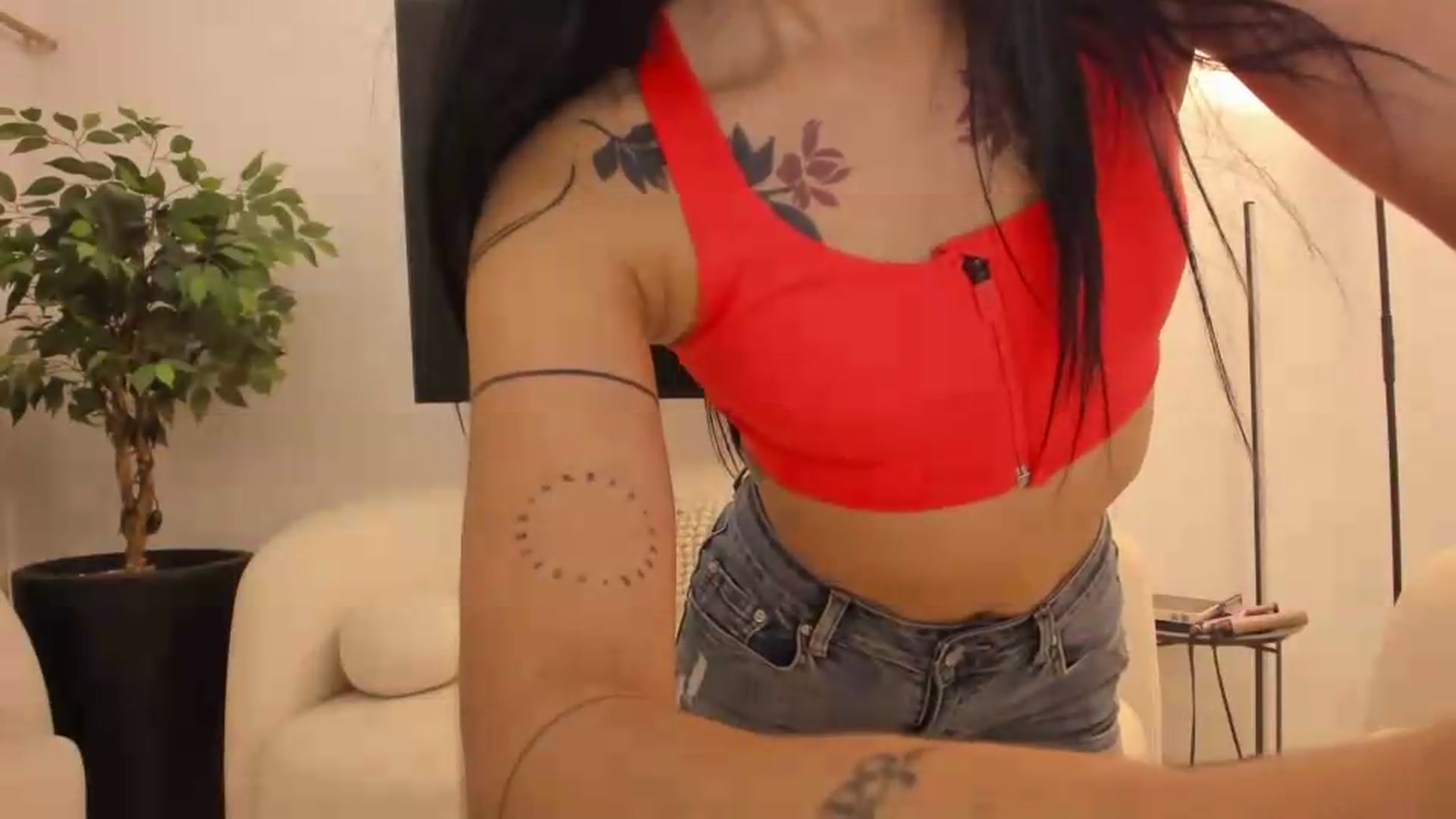 Kattgalle video thumbnail