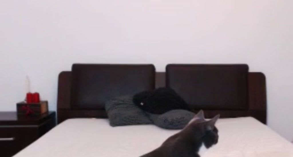 BlackLotusxo video thumbnail