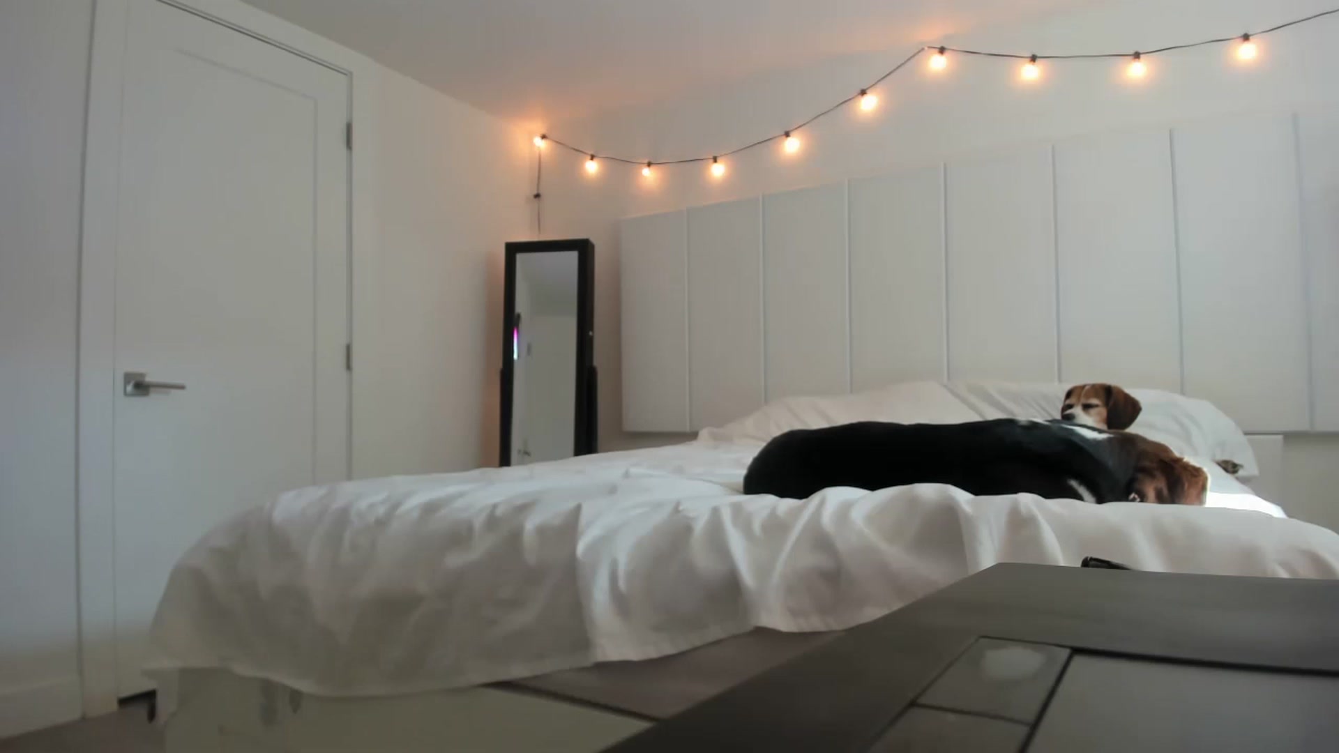 AdorableDee video thumbnail