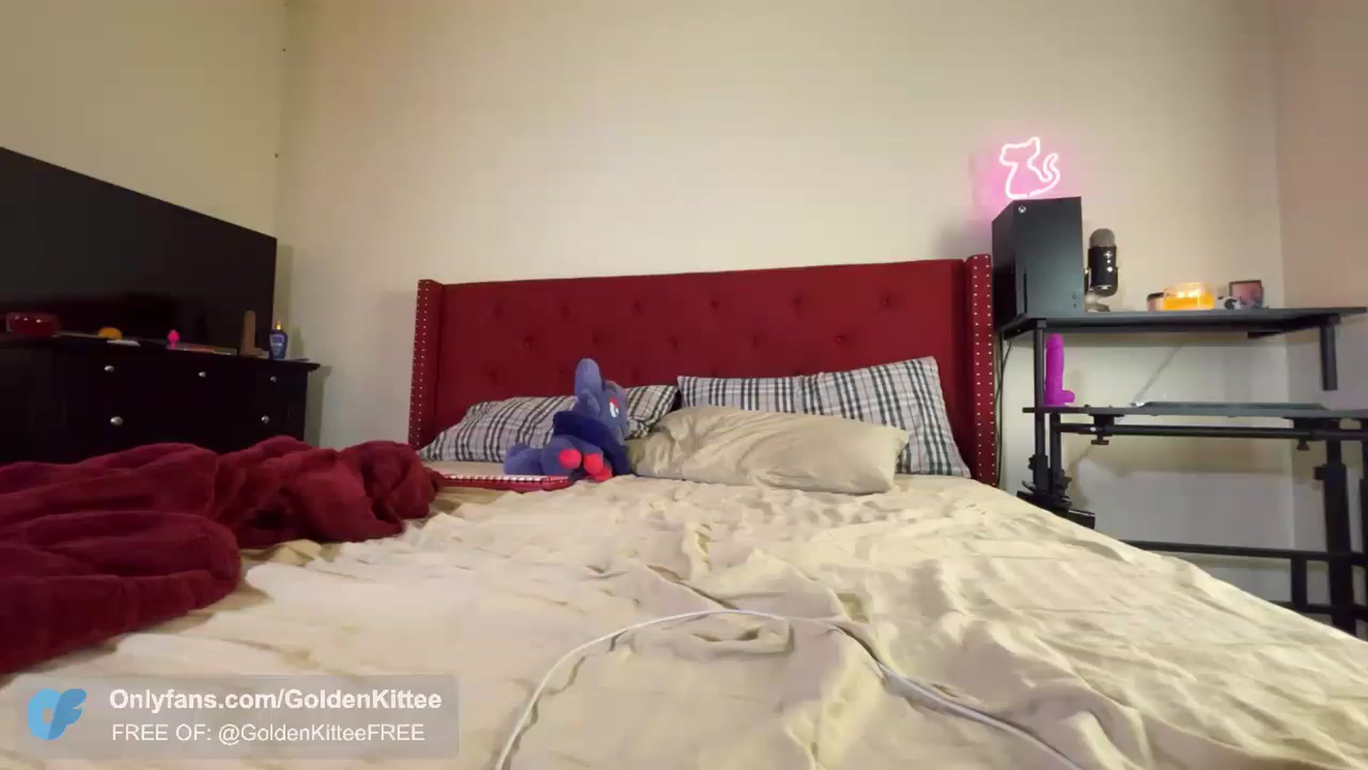 GoldenKittee video thumbnail