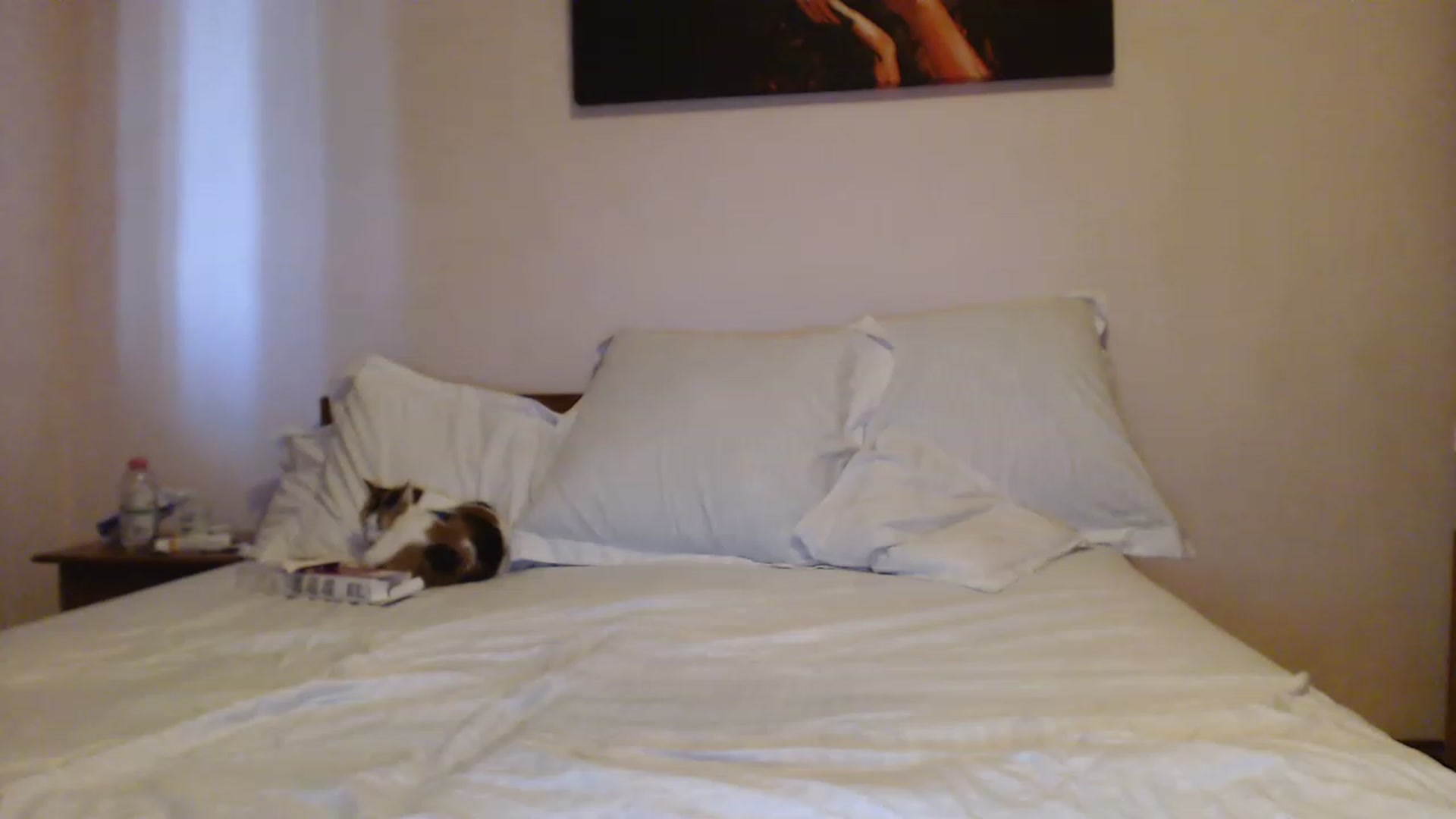 Aahh_Emilia video thumbnail