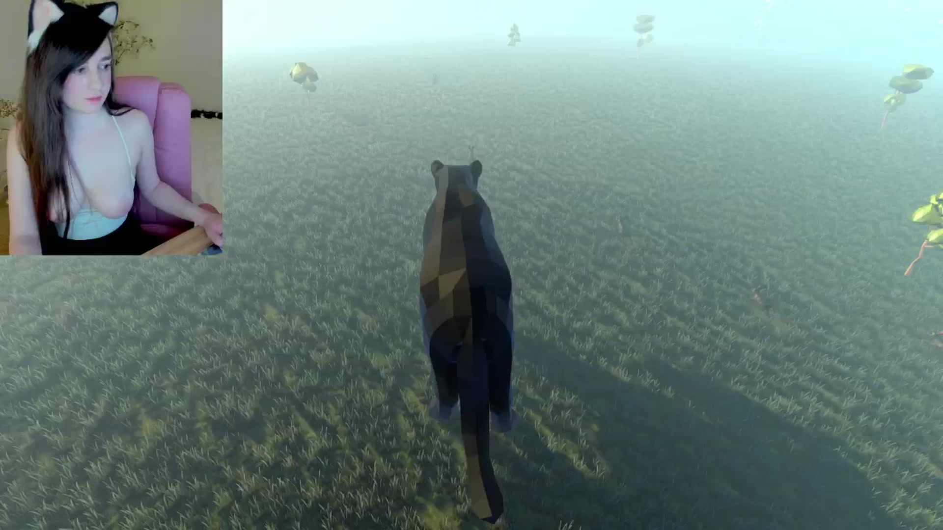 Kitty video thumbnail