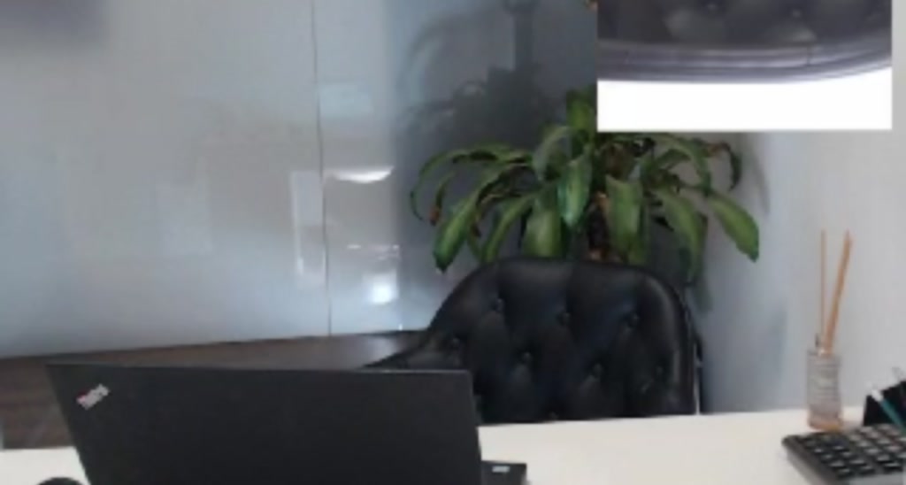 AiddaFox video thumbnail