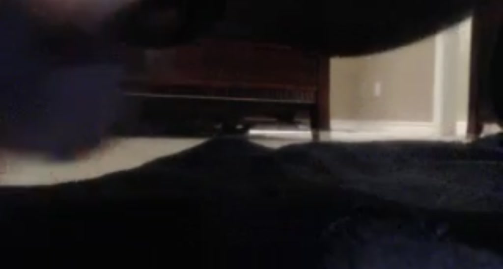 Ms_WetNWild video thumbnail