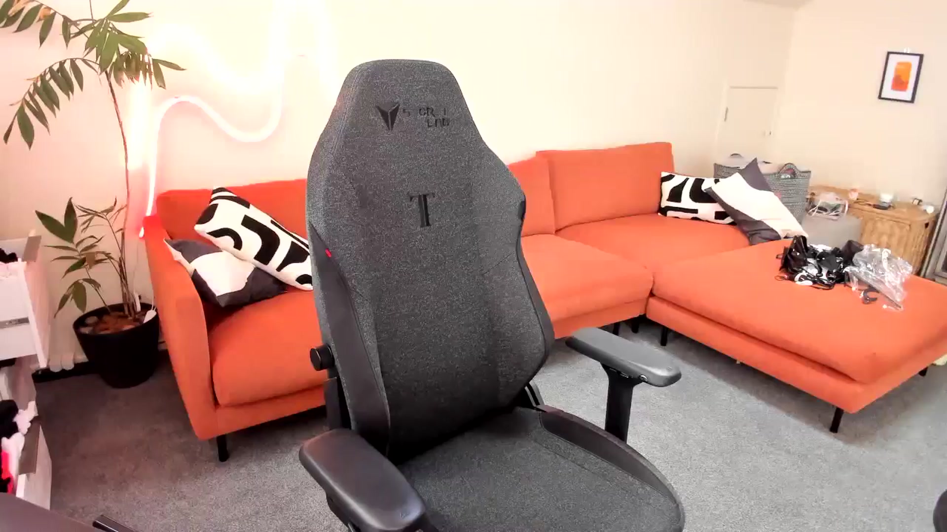Alice_NZ video thumbnail