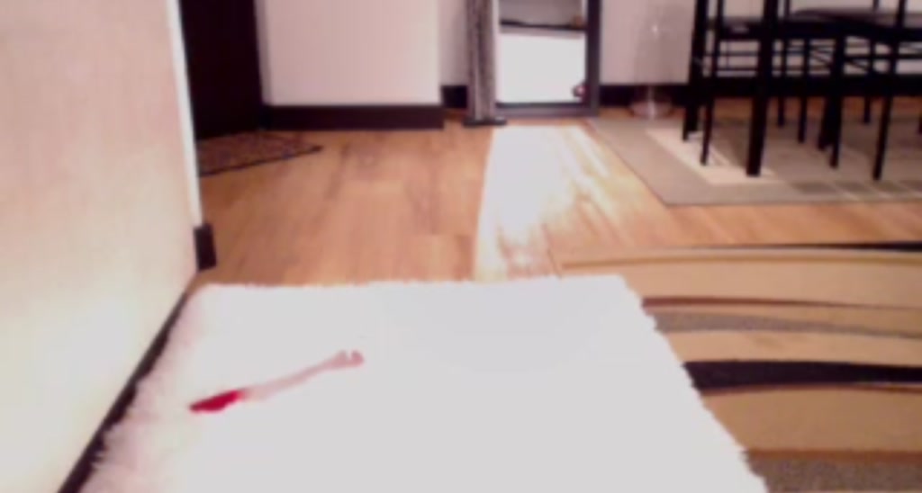 paula_fer video thumbnail