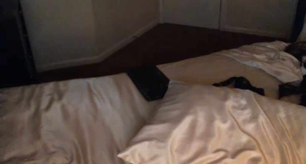 alexa_seven video thumbnail