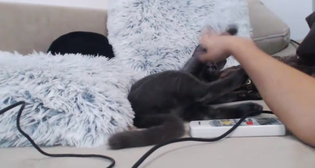 Moni_K video thumbnail