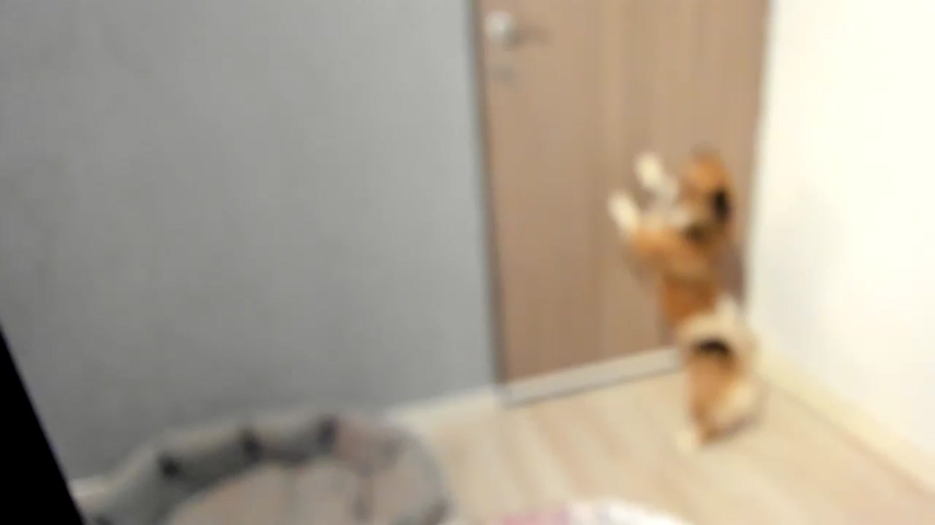 LilithTongue_ video thumbnail
