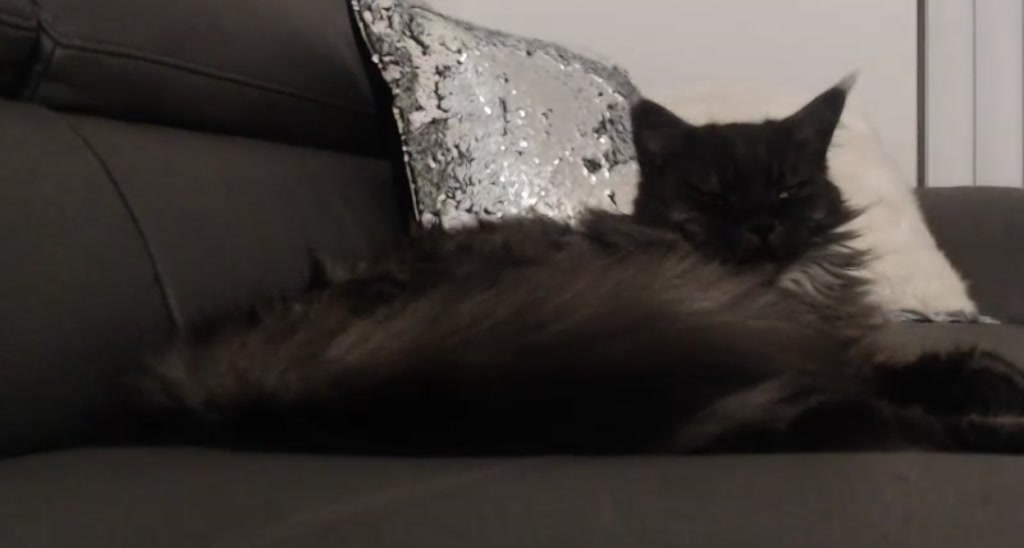 Katie video thumbnail