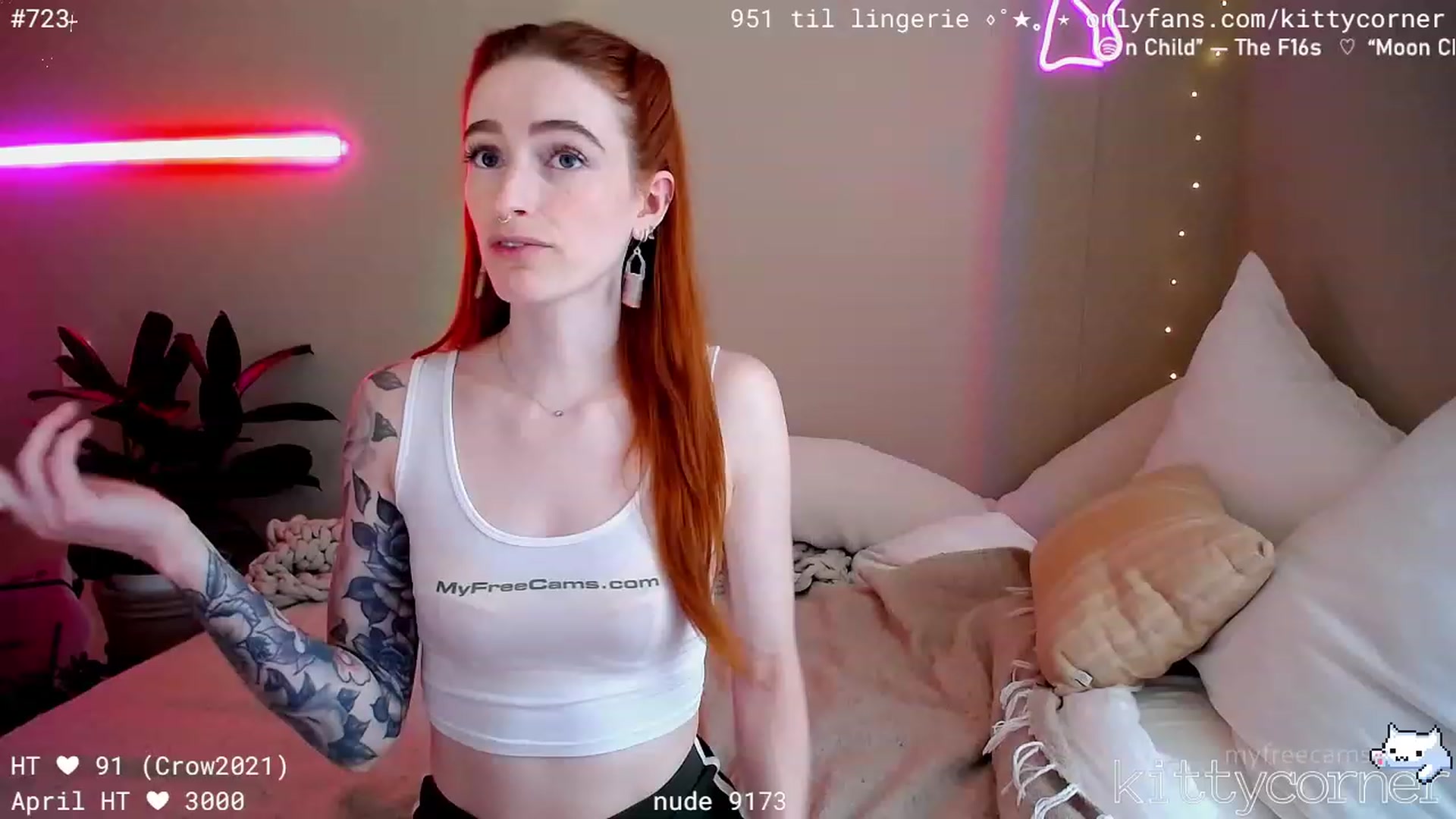 KittyCorner video thumbnail