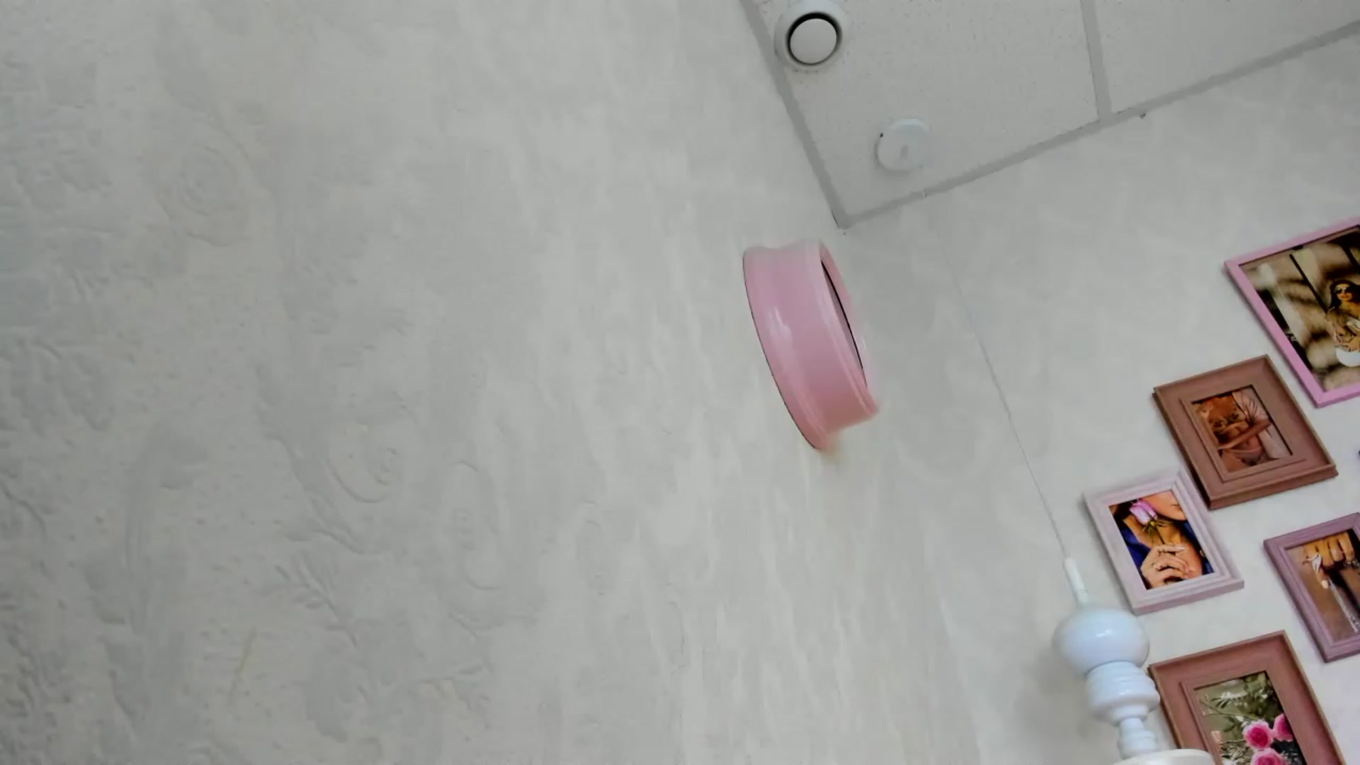 Nomoney1212 video thumbnail