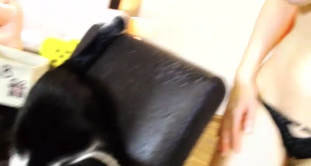 WildestKitten video thumbnail