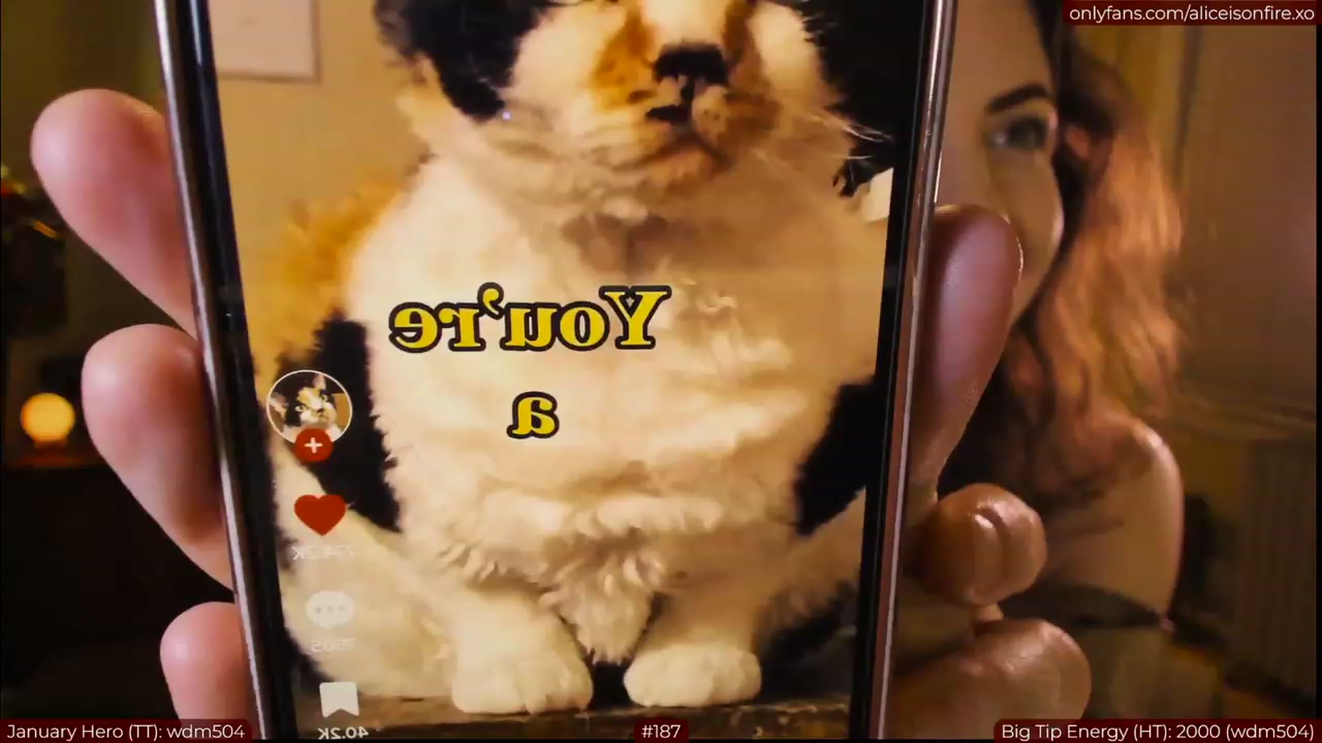 aliceisonfire video thumbnail