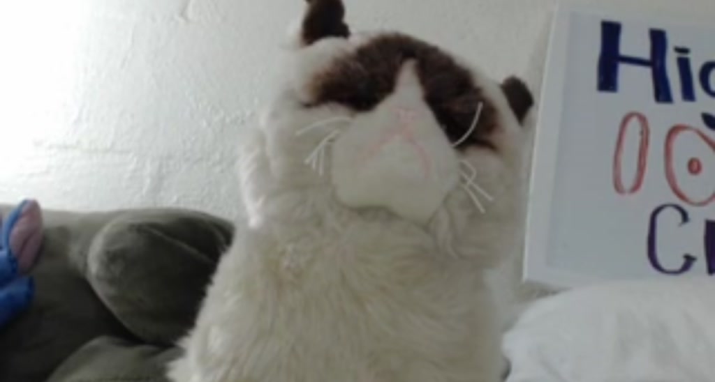 Catjira_ video thumbnail